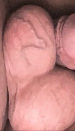 IMG_5900.jpeg