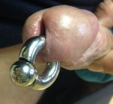 Cock Piercing 2 .jpg
