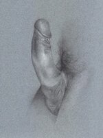 Penis study in penisl.jpg