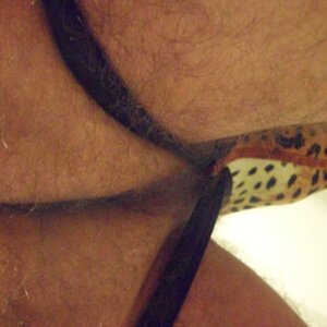 Cocksox leopard - the view from down under...