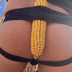 Corn field