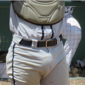 Well protected catcher