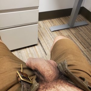 Workday cock
