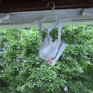 Hanging up to dry, potentially in view of neighbors