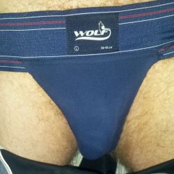 Navy Wolf Athletic Supporter